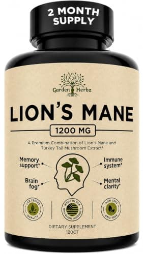 Lion's Mane Mushroom Brain Supplement Capsules - Memory