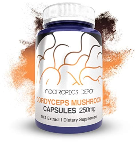 Nootropics Depot Cordyceps Mushroom Capsules | 10:1 Whole…