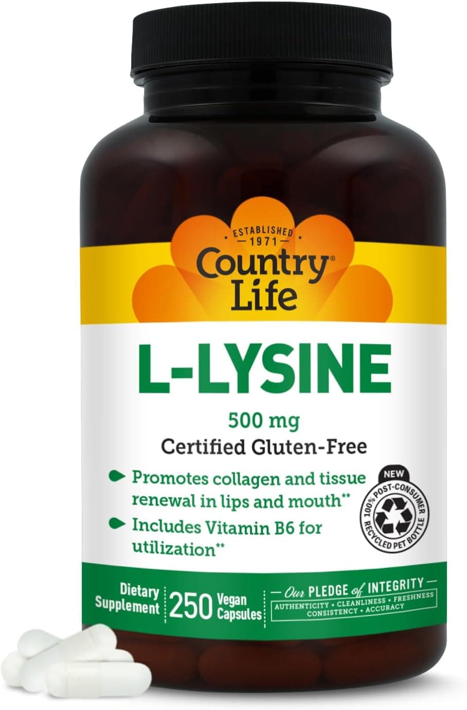 Country Life L-Lysine 500mg with B-6