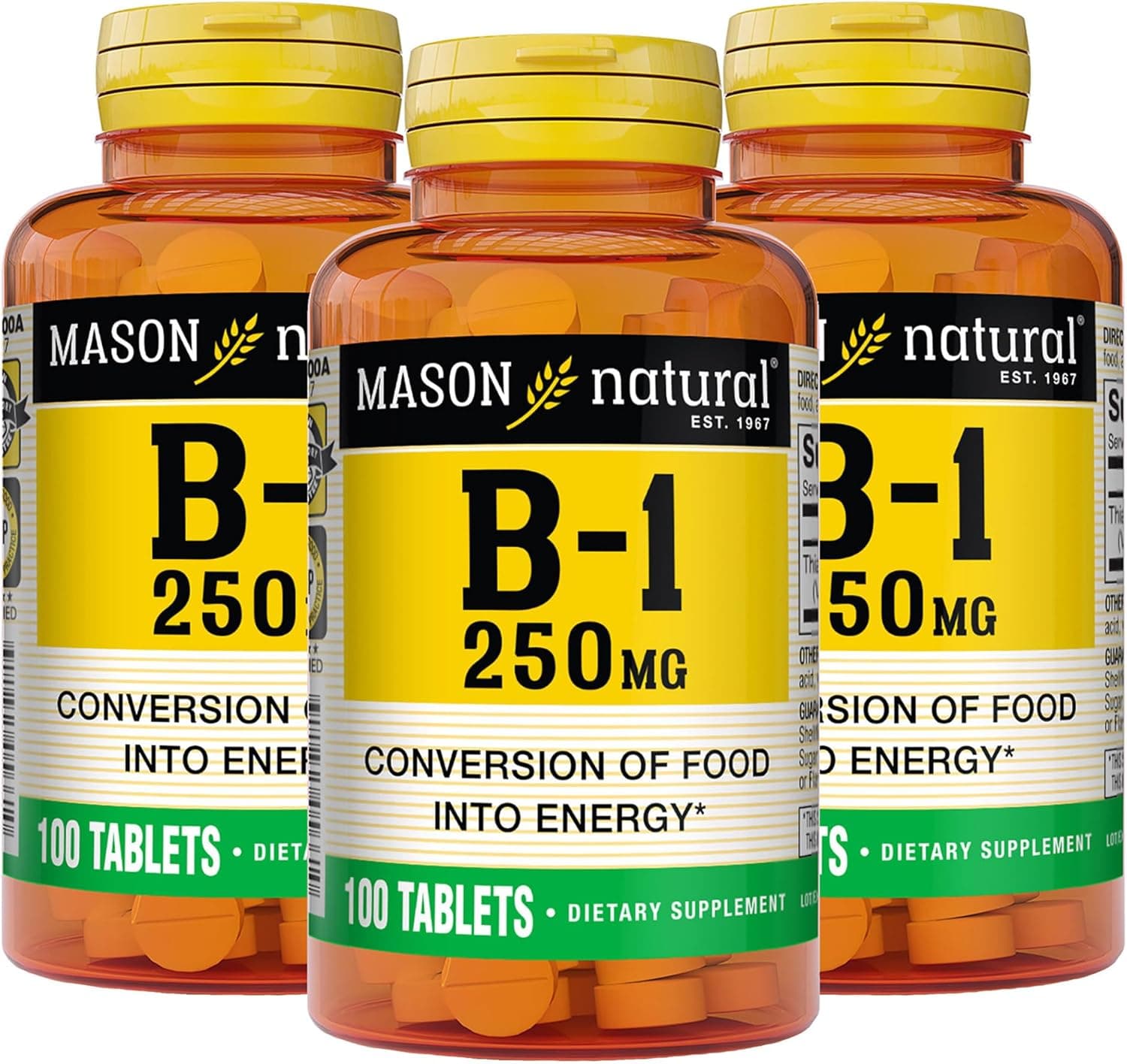 MASON NATURAL Vitamin B1 Thiamine 250 mg